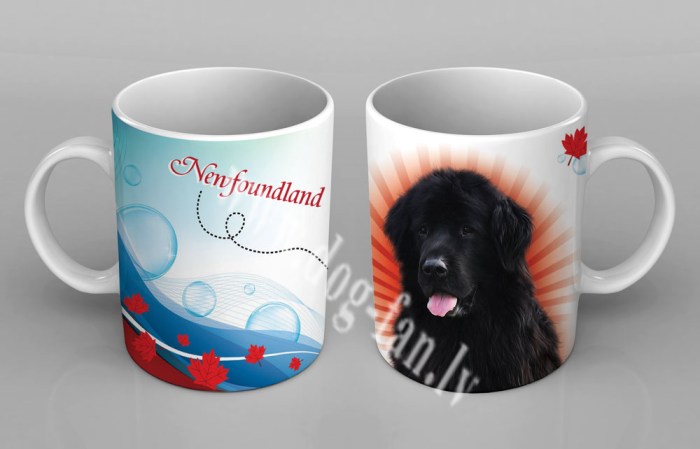 newfoundcup copy